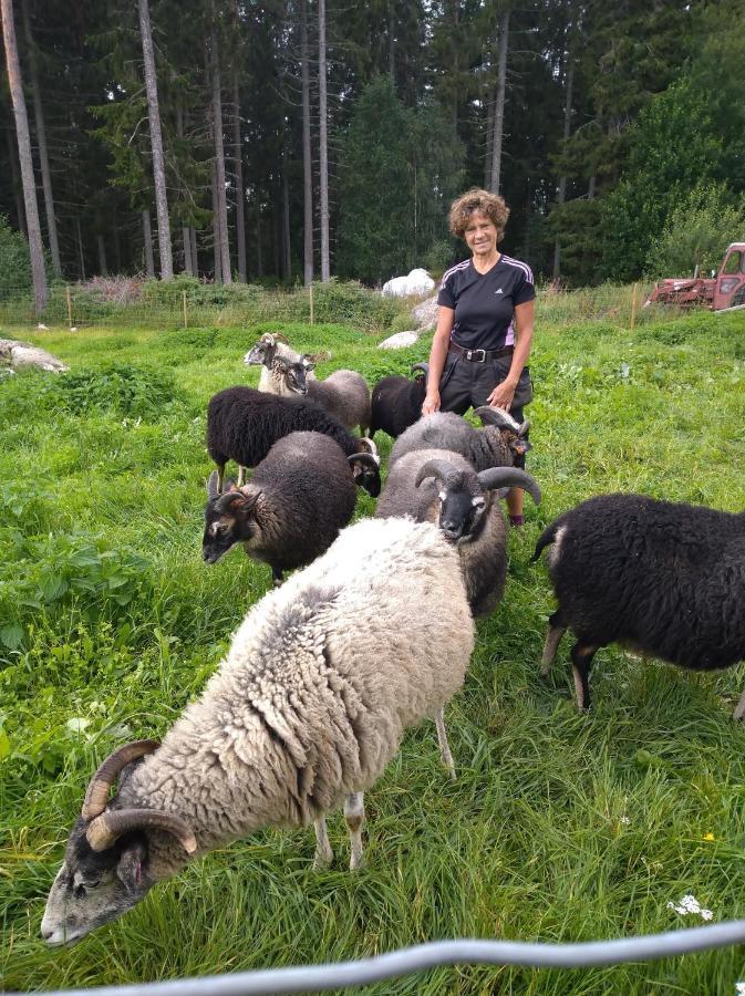 Stensholms Traedgard Nässjö Esterno foto